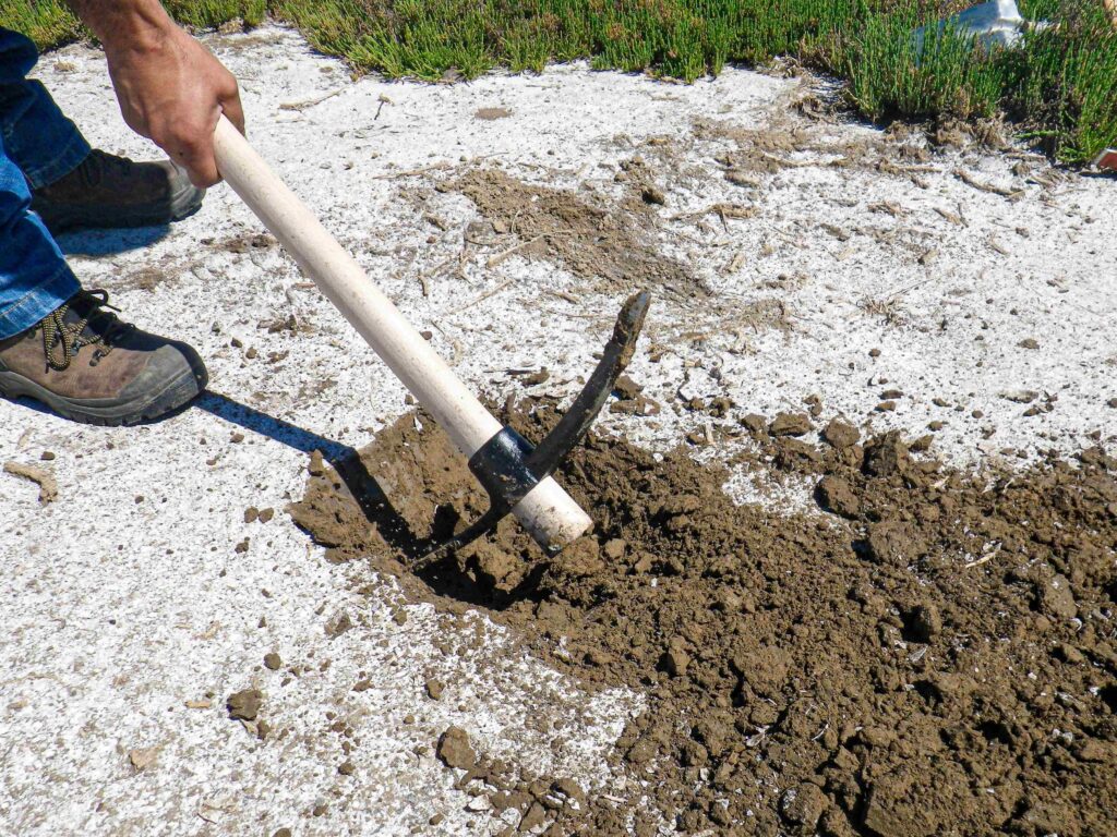 land-tax-exemptions-tips-and-lessons-644