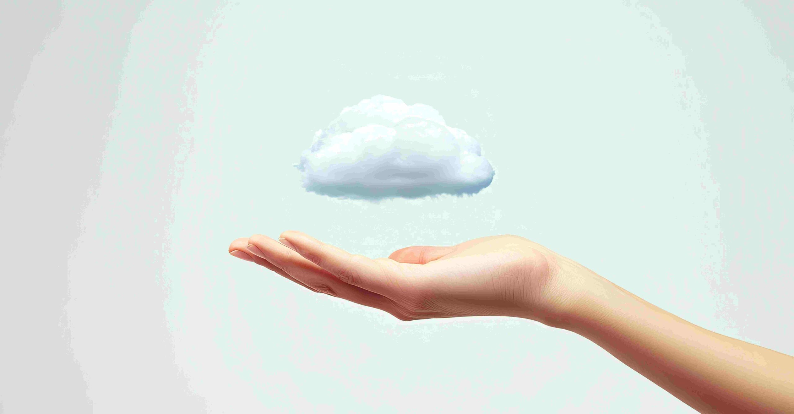 PAY AS YOU GO (PAYG)